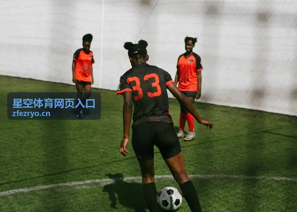 星空体育网页入口综合体育新闻